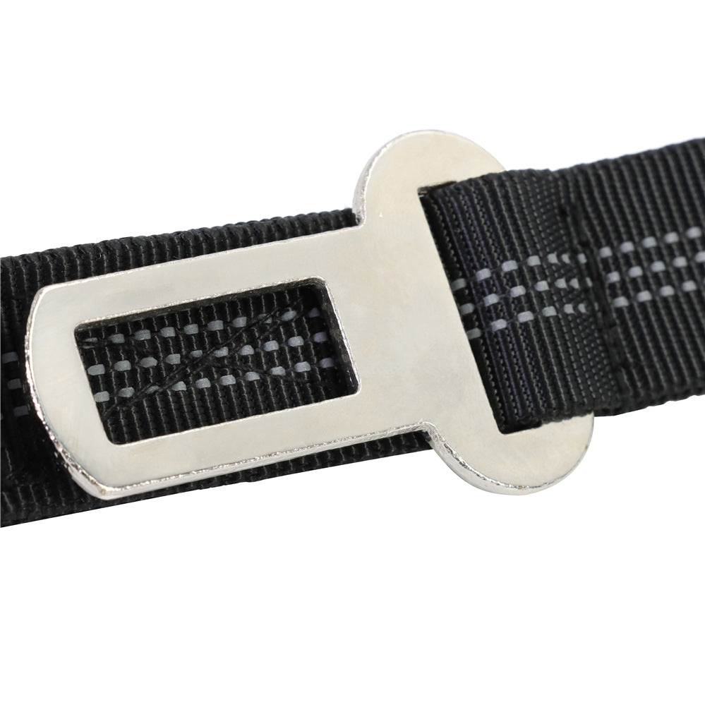 Bungee Dog Leash, for dogs.