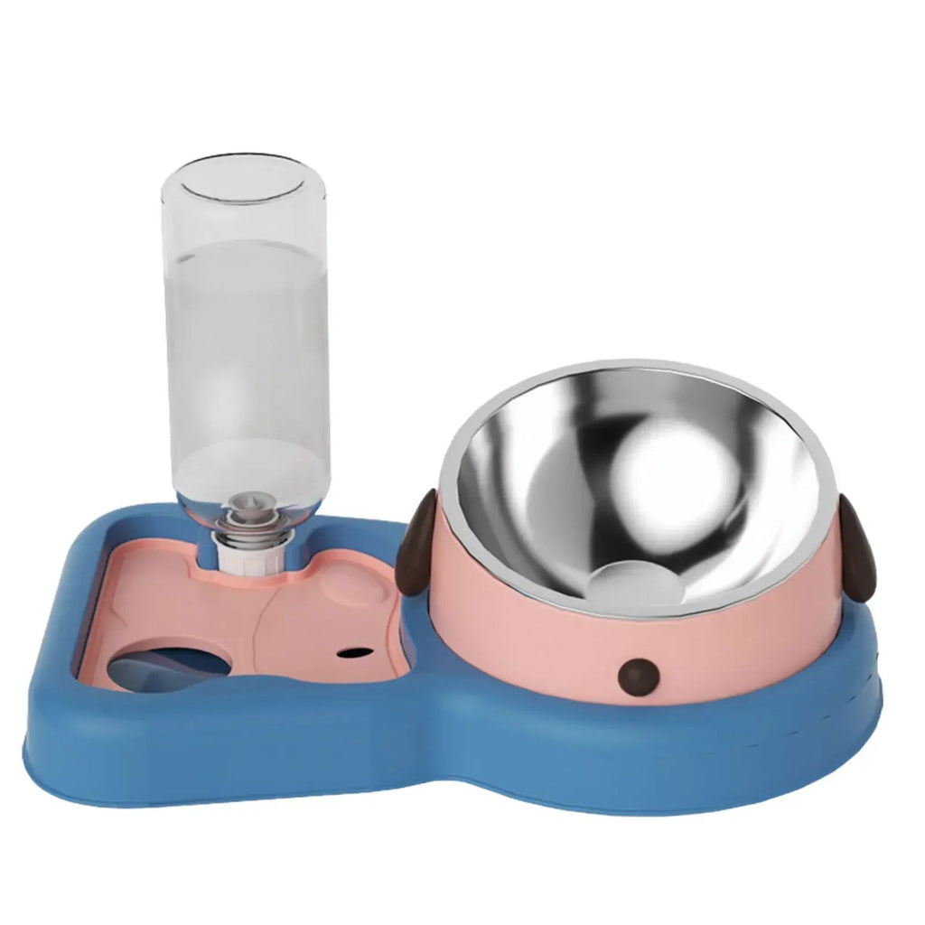 2-in-1 Tilted Feeding Bowl and Water Bottle Set