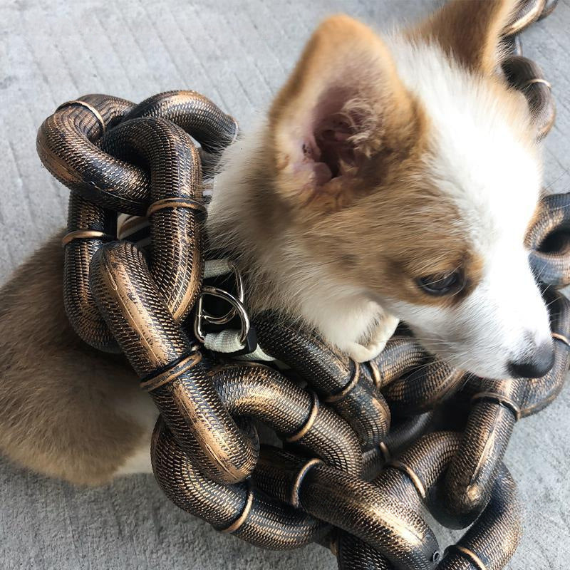 Chain-Style Plastic Dog Leash with D-Ring Connector, for dogs.
