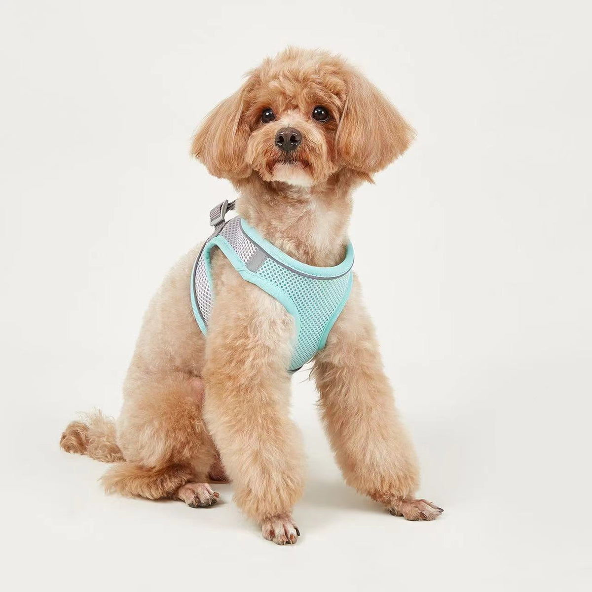 Breathable Vest-Style Leash, for dogs.