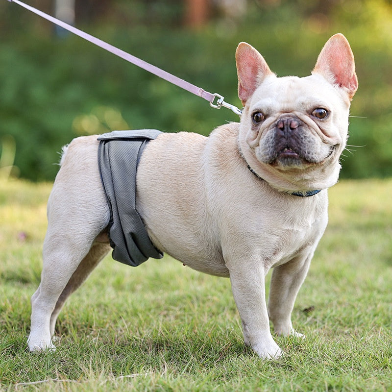 Washable Belly Band Diaper Wrap for Male Dogs, for dogs.