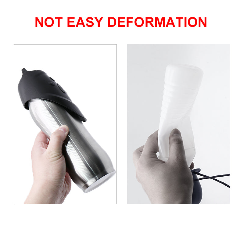 Stainless Steel Water Bottle for Dogs and Cats