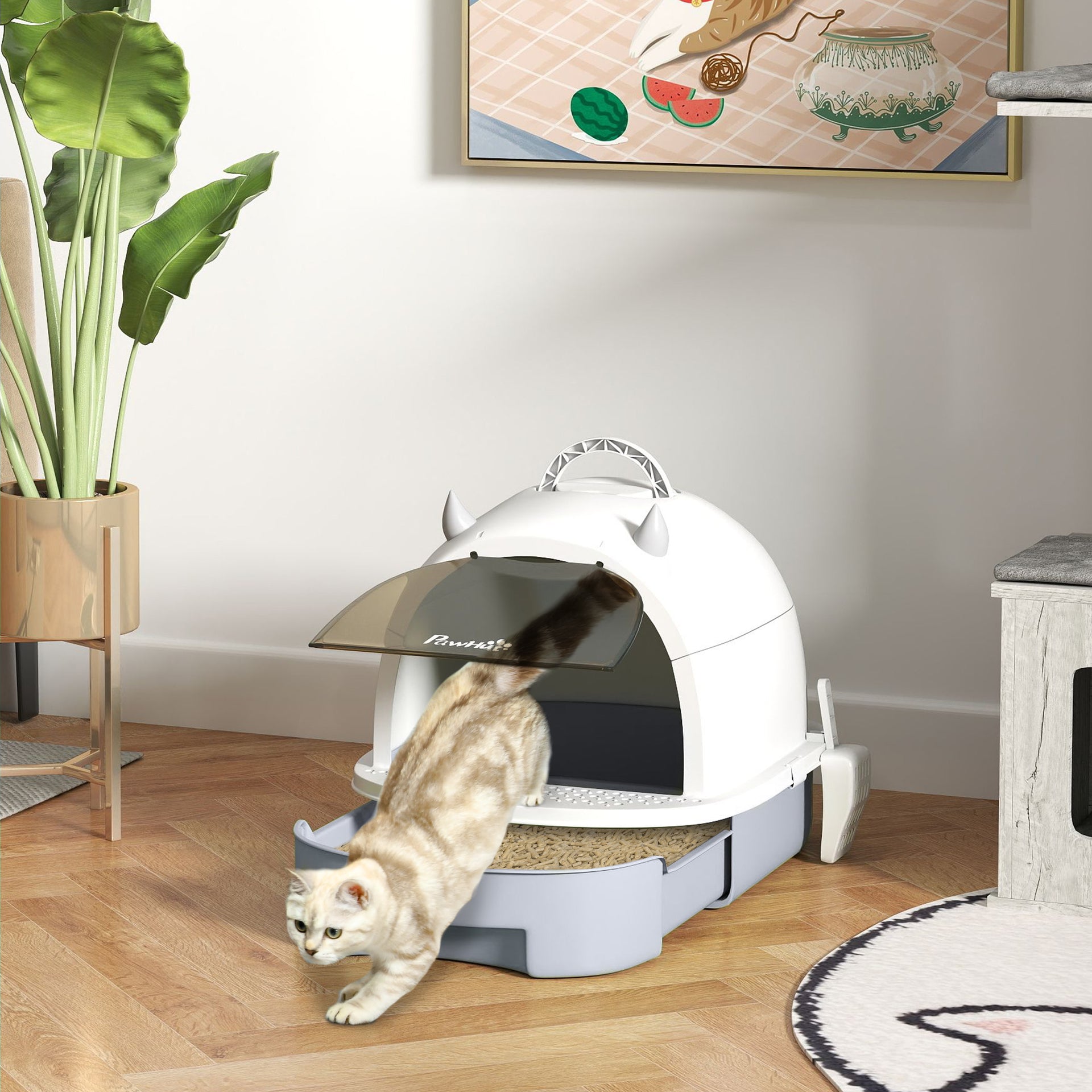 Covered Cat Litter Box with Lid