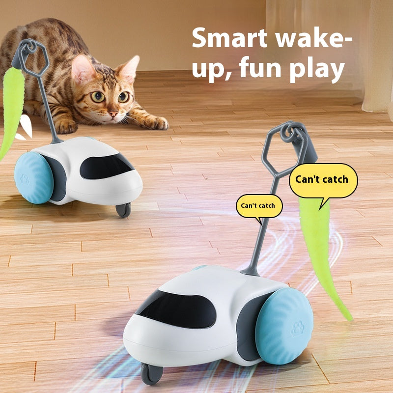 USB Rechargeable Automatic Rolling Toy, for cats.