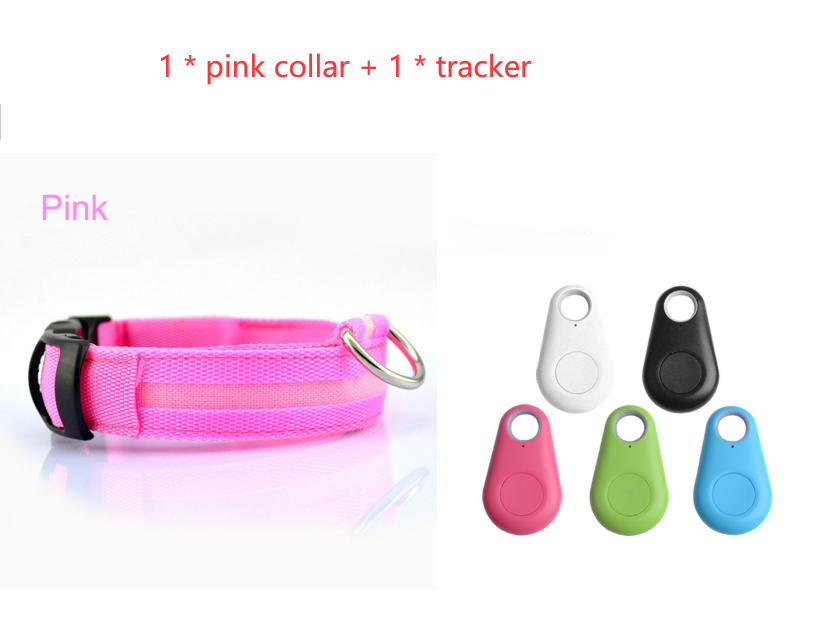 LED Safety Dog Collar with Replaceable Batteries, for dogs.