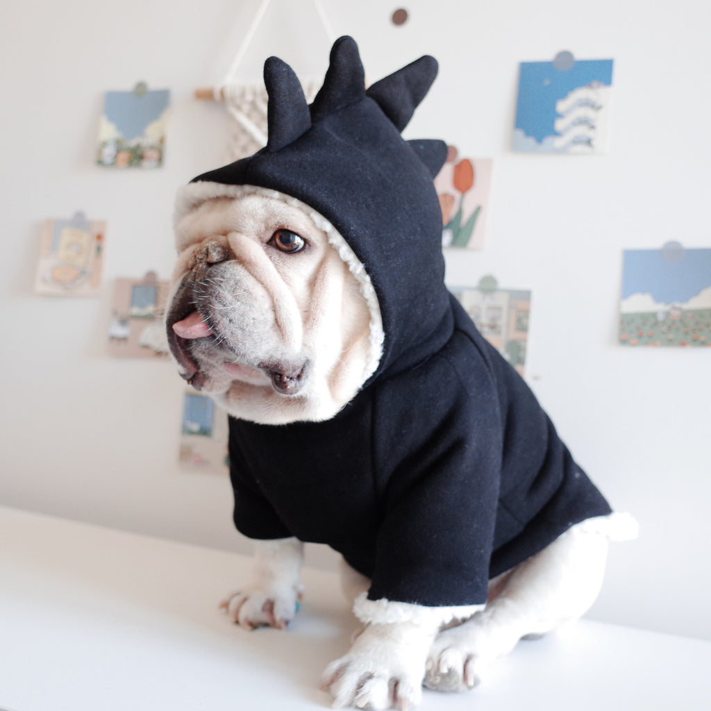 Dinosaur Hooded Lamb Fleece Winter Sweater, for dogs.