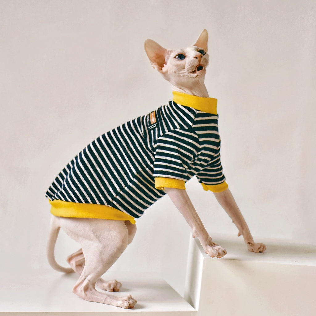 Cotton Warmth Sweater for Sphynx and Hairless Cats, for cats.