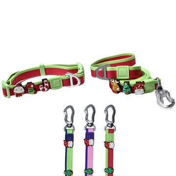 Dual-Color Embossed Dog Leash & Collar Set – Fashion Walking Set – lifestyle photo