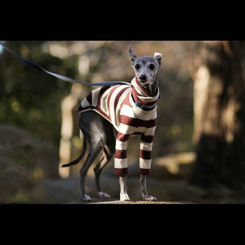 High-Neck Two-Leg Fleece Coat, for dogs.