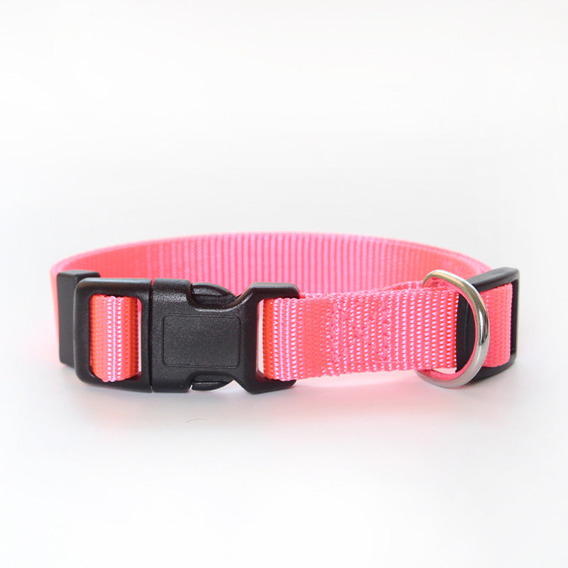 Nylon Dog Collar in Five Fixed Sizes, XS to XL, for dogs.