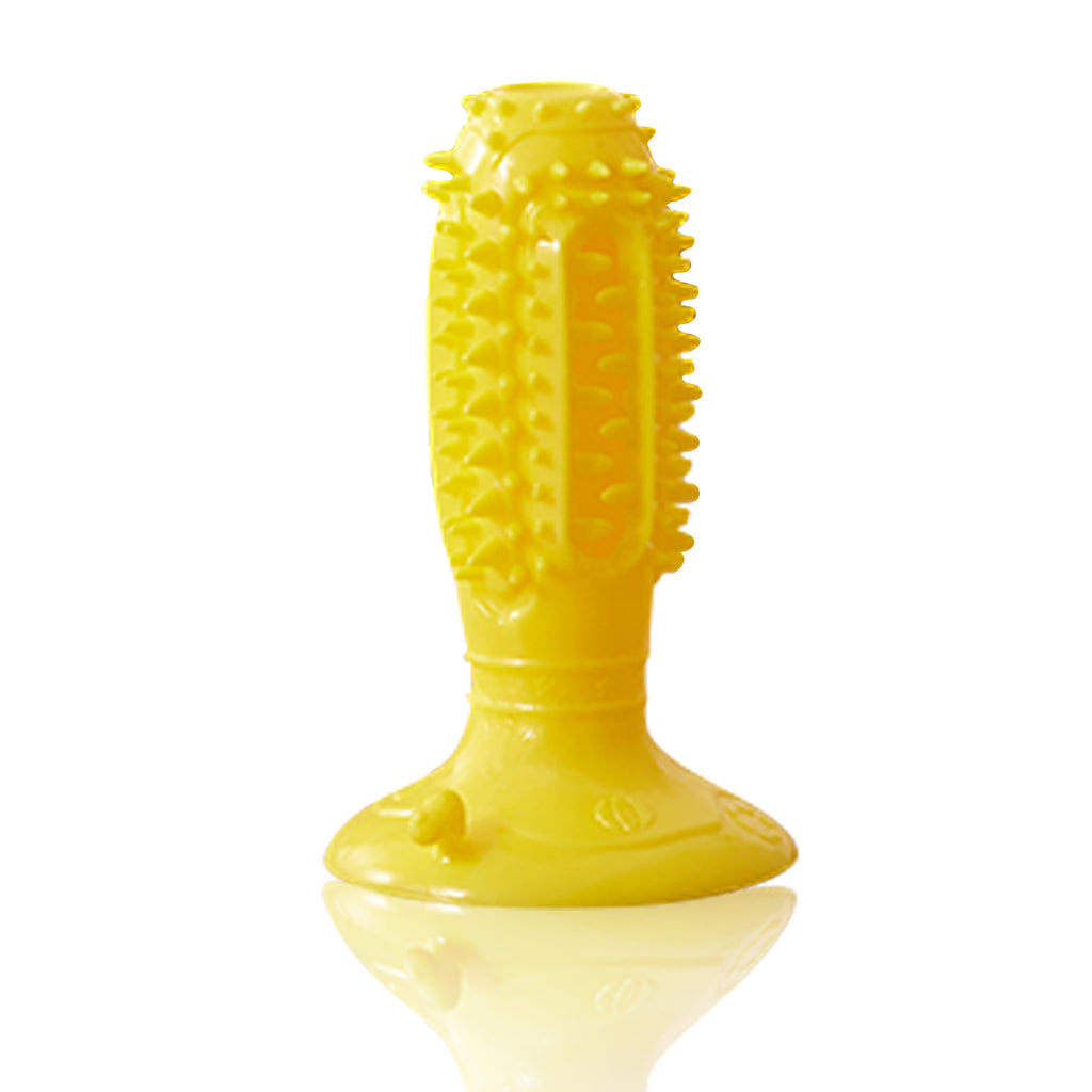 Squeaky Chew Ball Toys, for dogs.