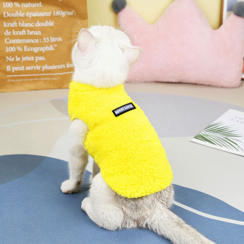 Fleece-Lined Fall and Winter Sweater, for cats.