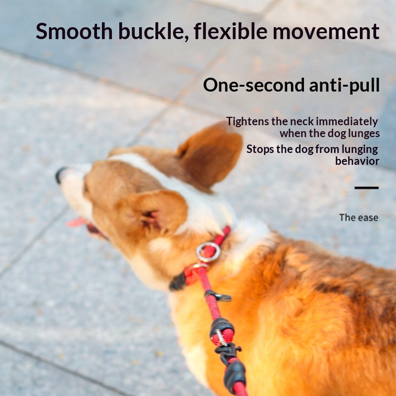 Reflective Nylon P-Chain Training Leash, for dogs.