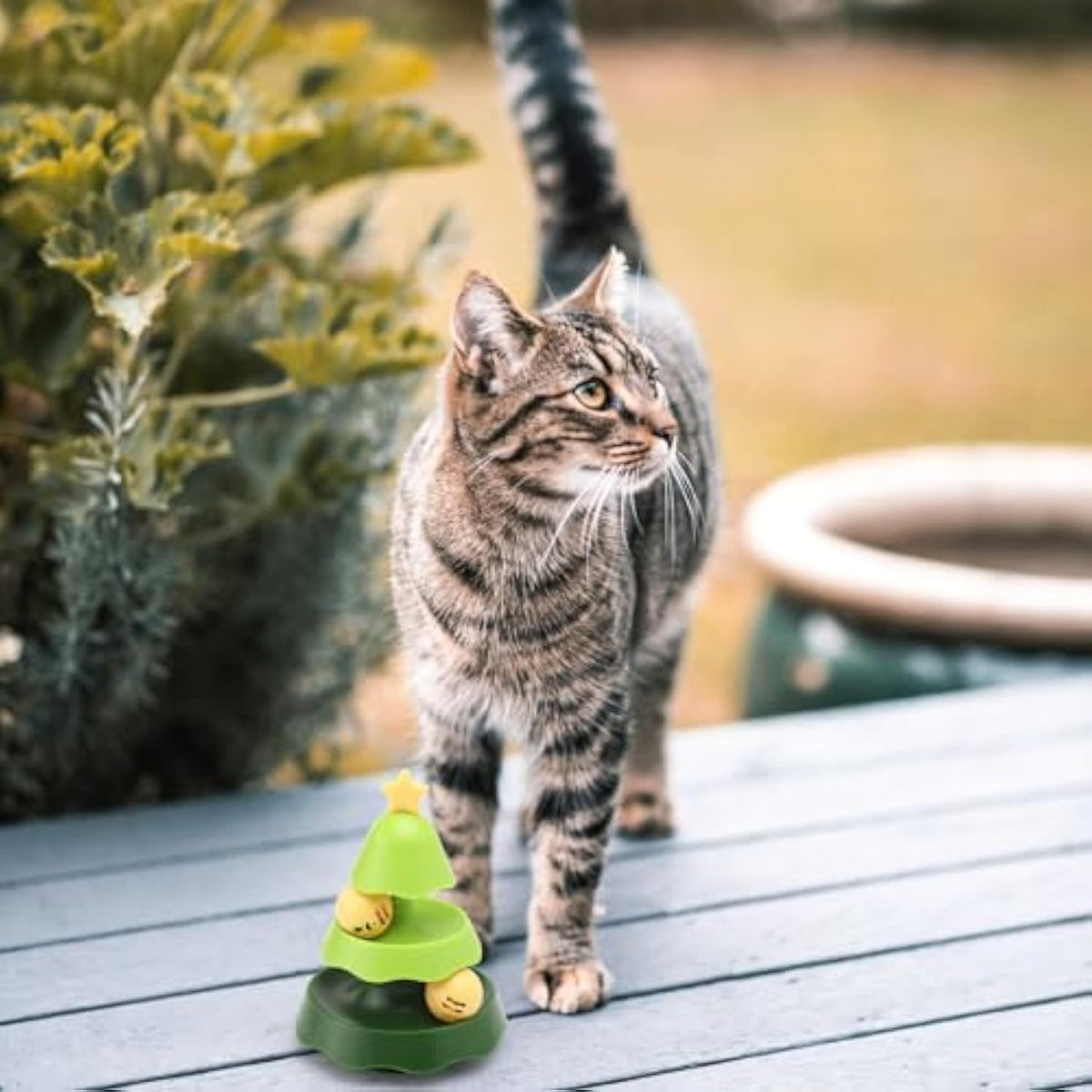Catnip Ball Track Toy, for cats.