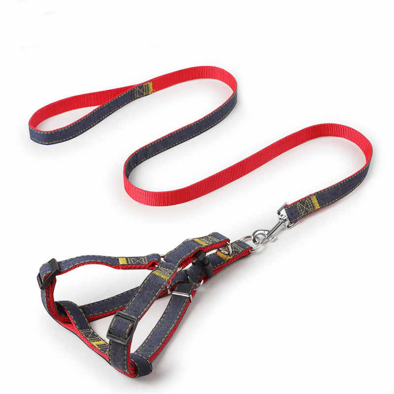 Denim Bungee Dog Leash with Padded Dual Handles, for dogs.