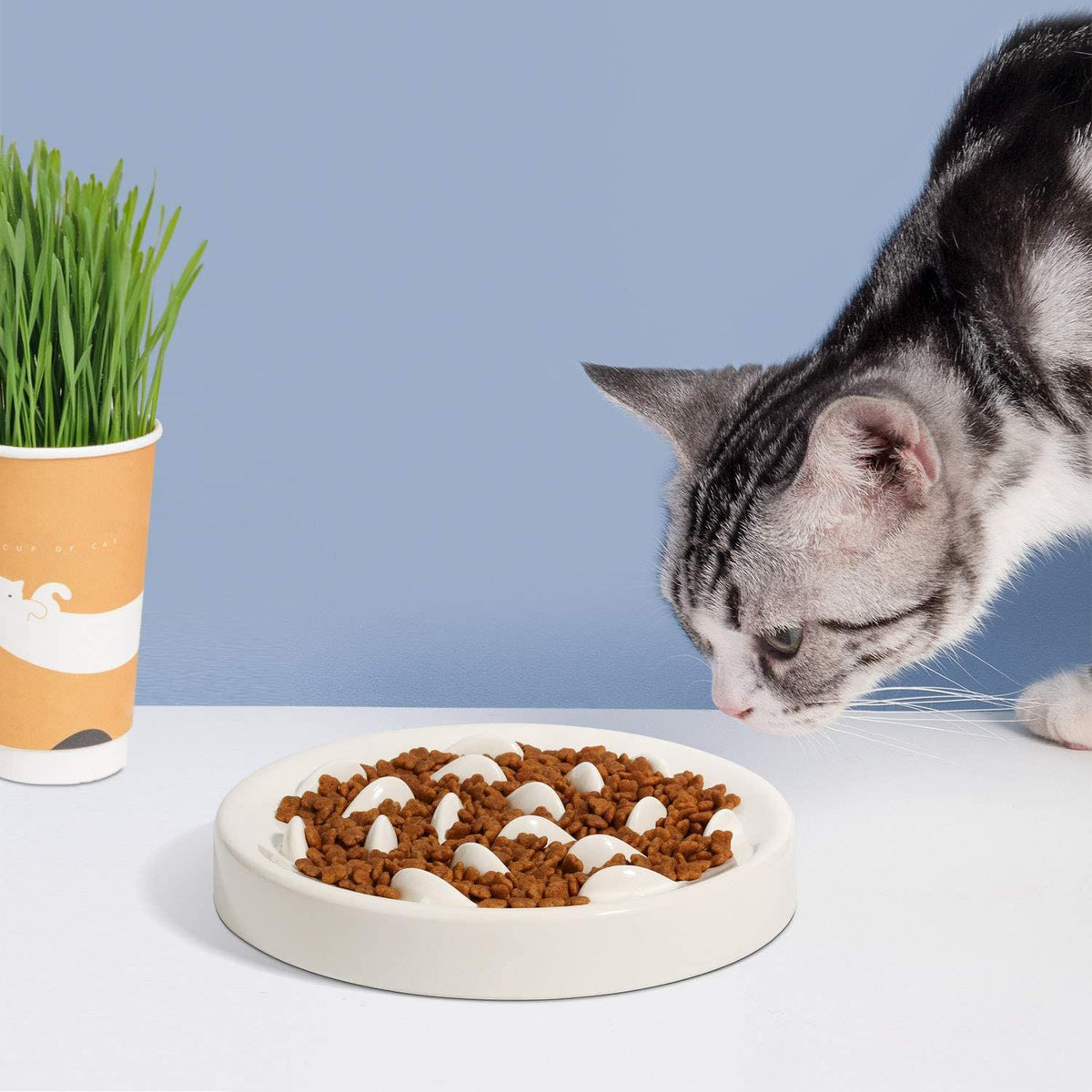 Goldfish-Shaped Slow Feeder Bowl, for dogs and cats.