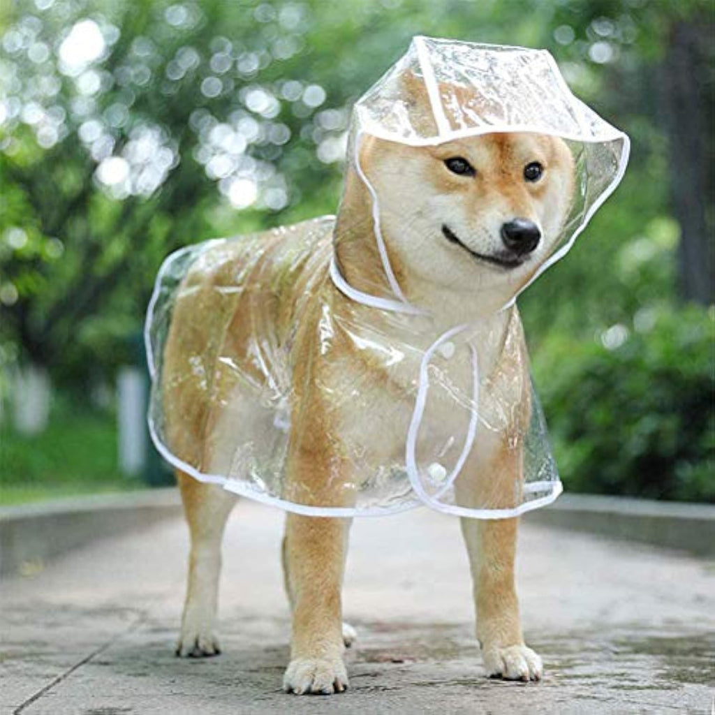Clear EVA Rain Jacket for Small to Medium Dogs, for dogs.