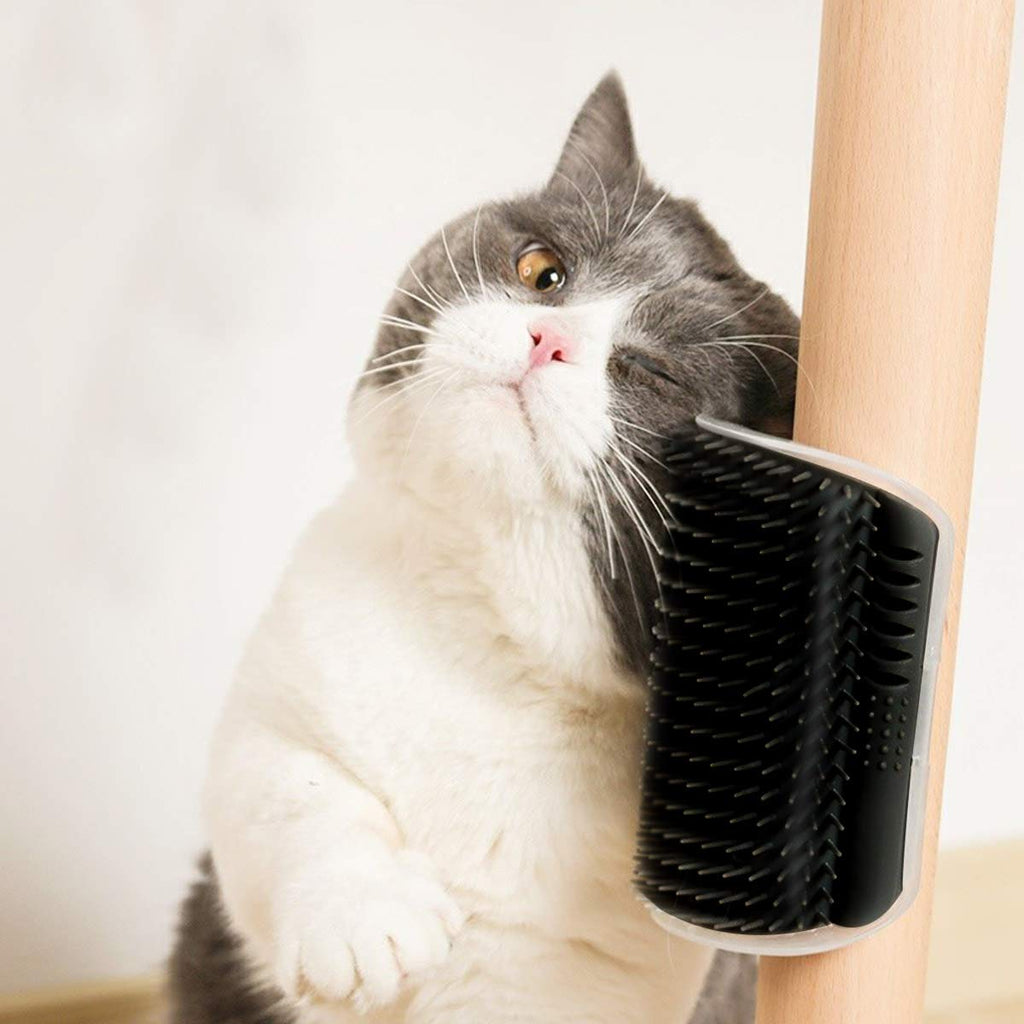 Wall-Mount Self-Grooming Corner Arch, for cats.