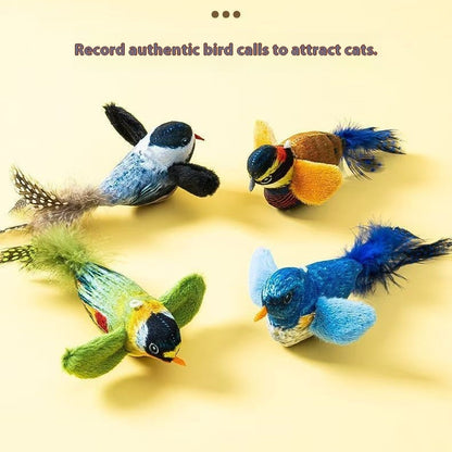 Cat Toy & Teaser Simulation Will Be Called Bird Toy