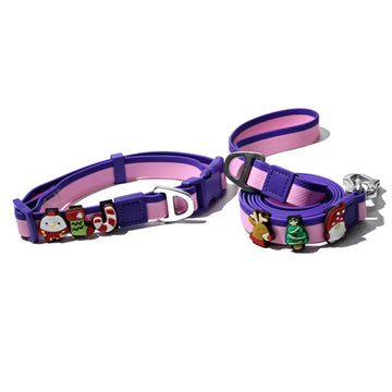 Dual-Color Embossed Dog Leash & Collar Set – Fashion Walking Set – angle view