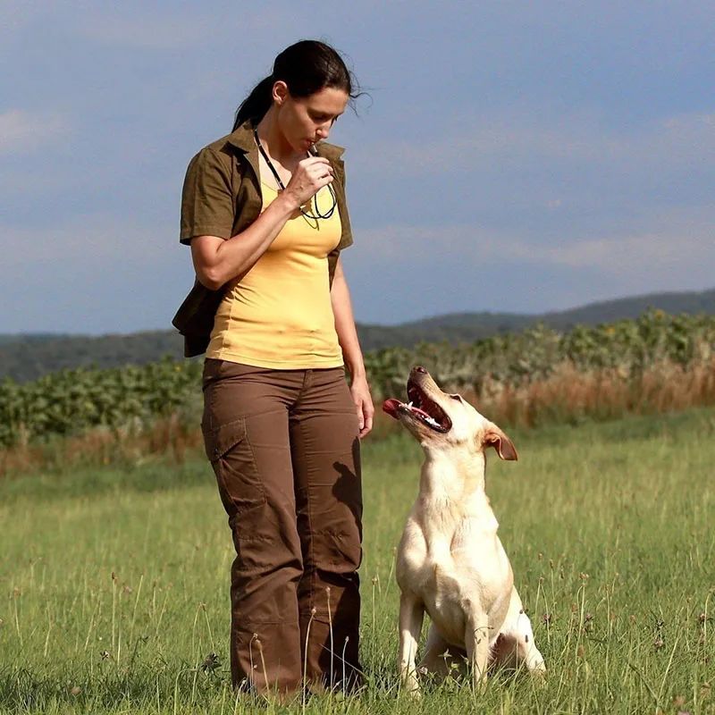 Adjustable Ultrasonic Training Whistle, for dogs.