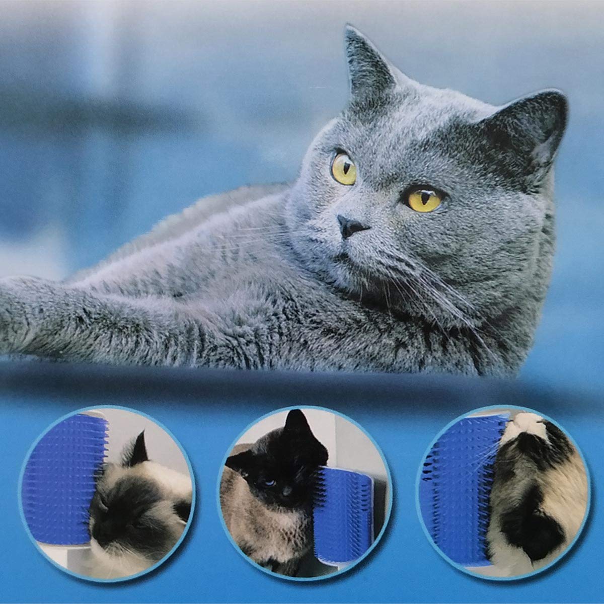Wall-Mount Self-Grooming Corner Arch, for cats.
