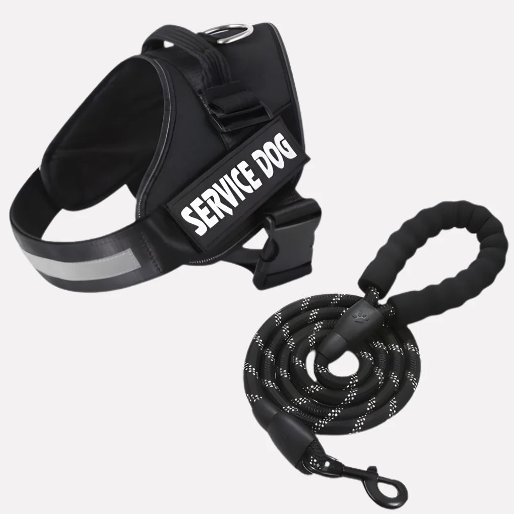 Reflective Nylon Chest Harness with Steel D-Ring, for dogs.