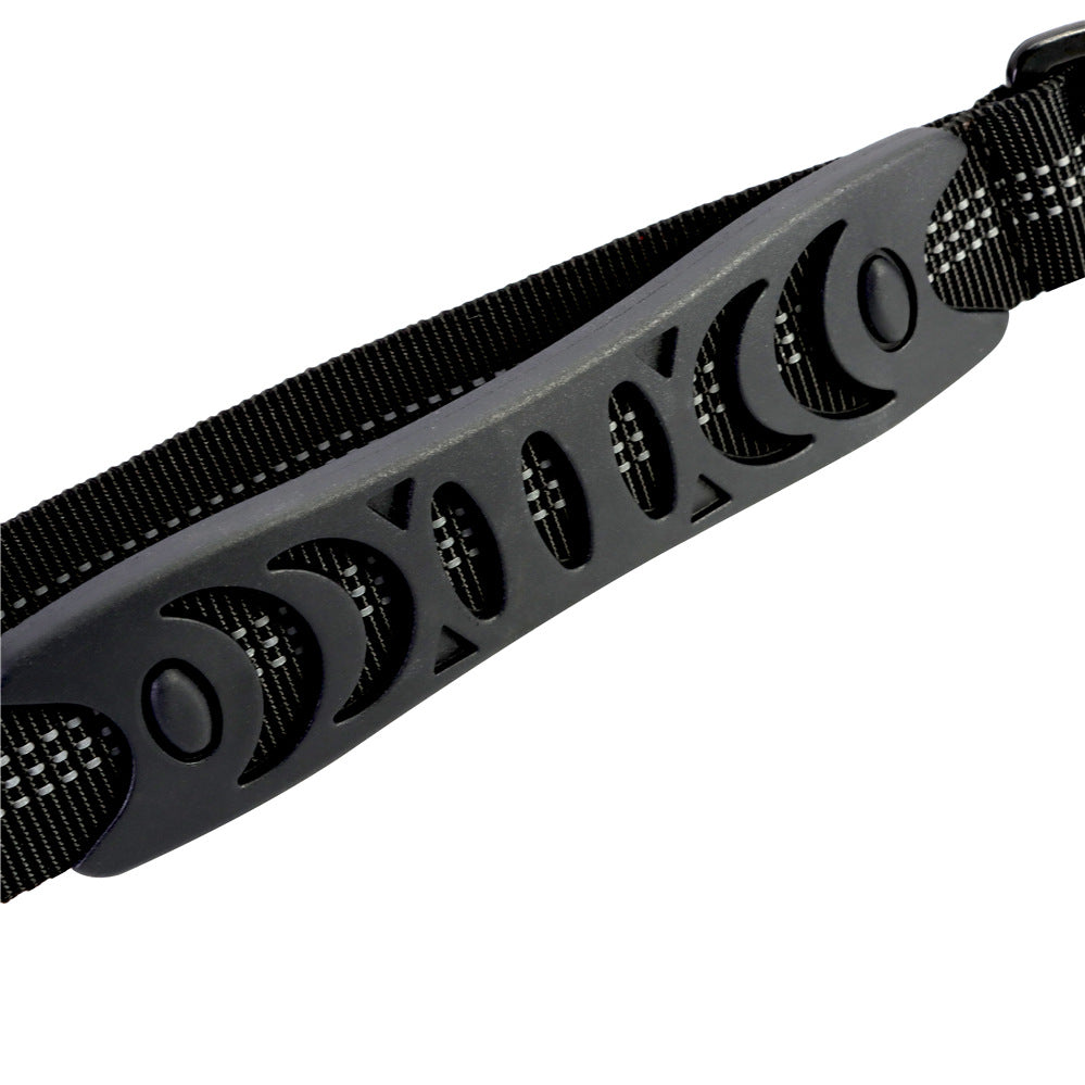 Bungee Dog Leash, for dogs.