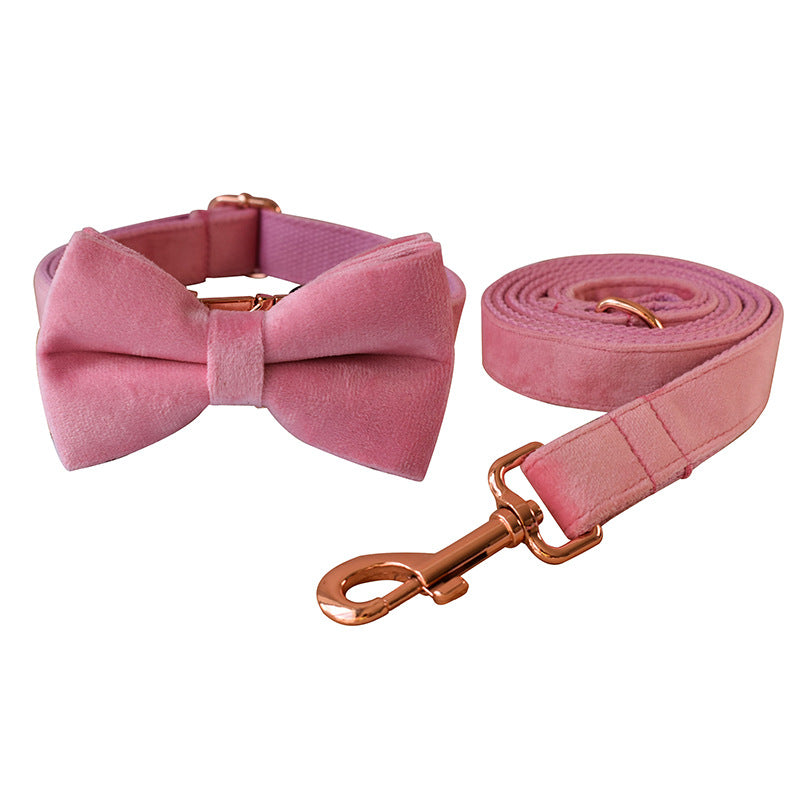 Velvet Collar with Rose Gold-Tone Buckle, for dogs and cats.