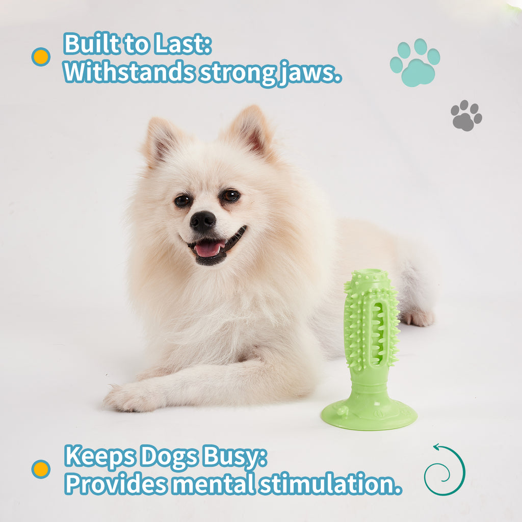 Squeaky Chew Ball Toys, for dogs.