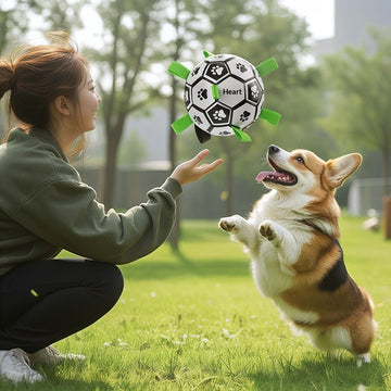 Squeaky Rubber Dog Ball – Durable Fetch & Chew Toy