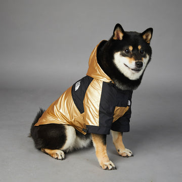 Waterproof Dog Raincoat with Hood – Reflective Adjustable Jacket for All Sizes – detail view