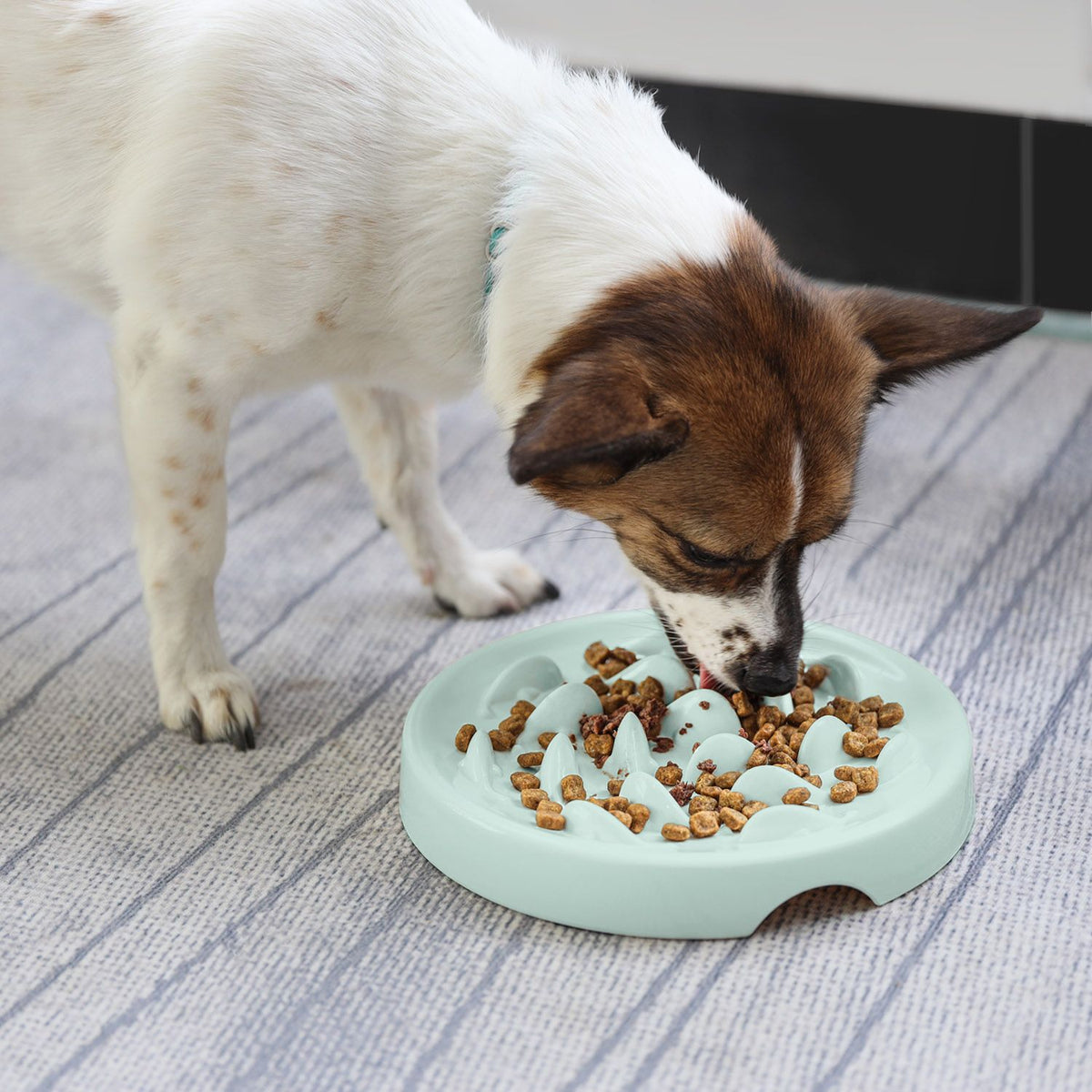 Goldfish-Shaped Slow Feeder Bowl, for dogs and cats.
