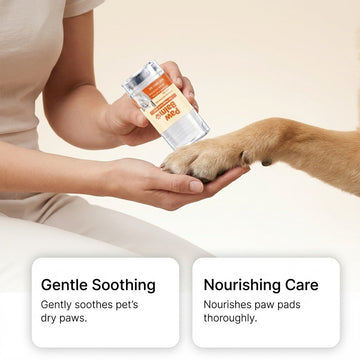 Applying paw balm to dog pads – KindoPet Pet Wellness Bundle