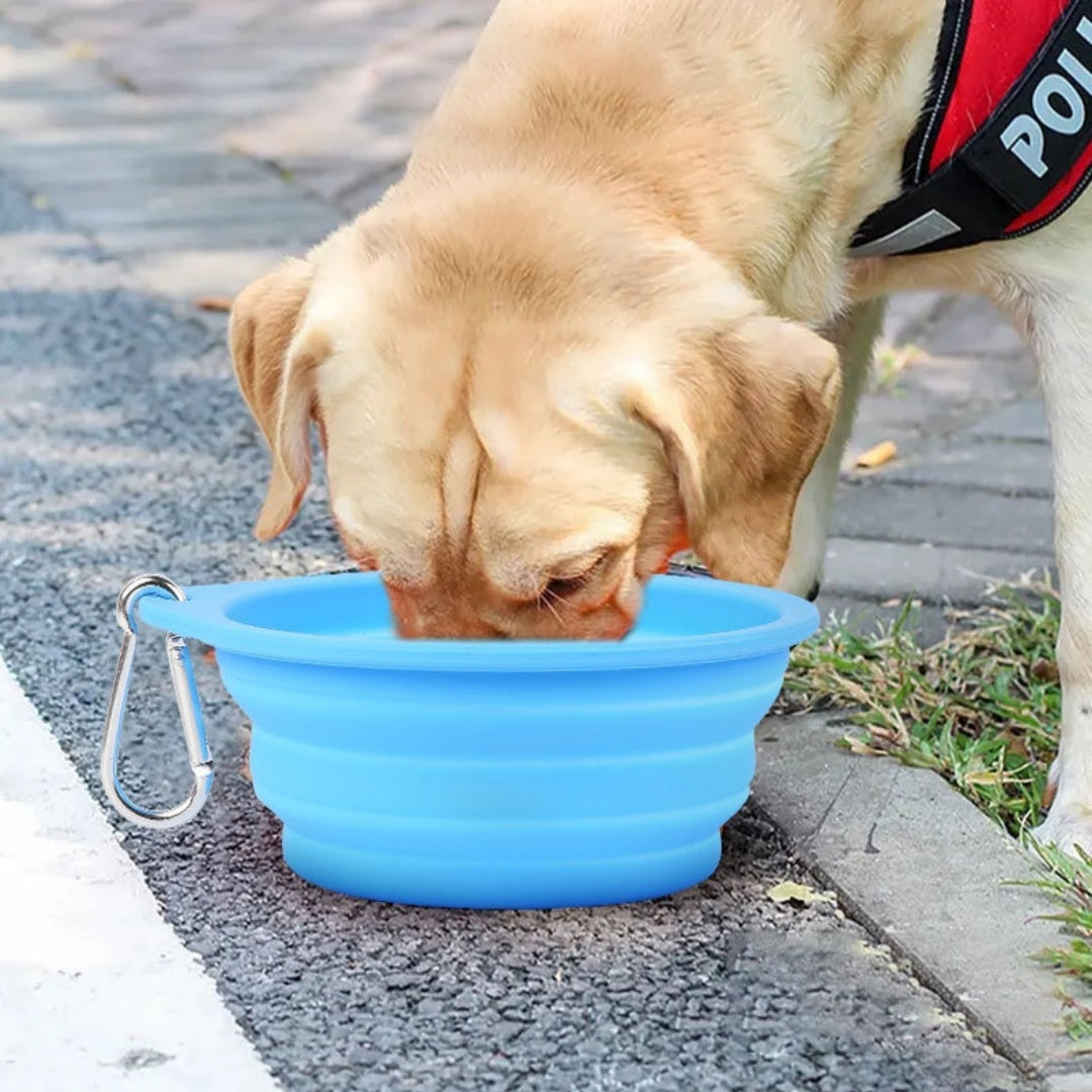 Foldable Silicone Travel Bowl, for dogs.