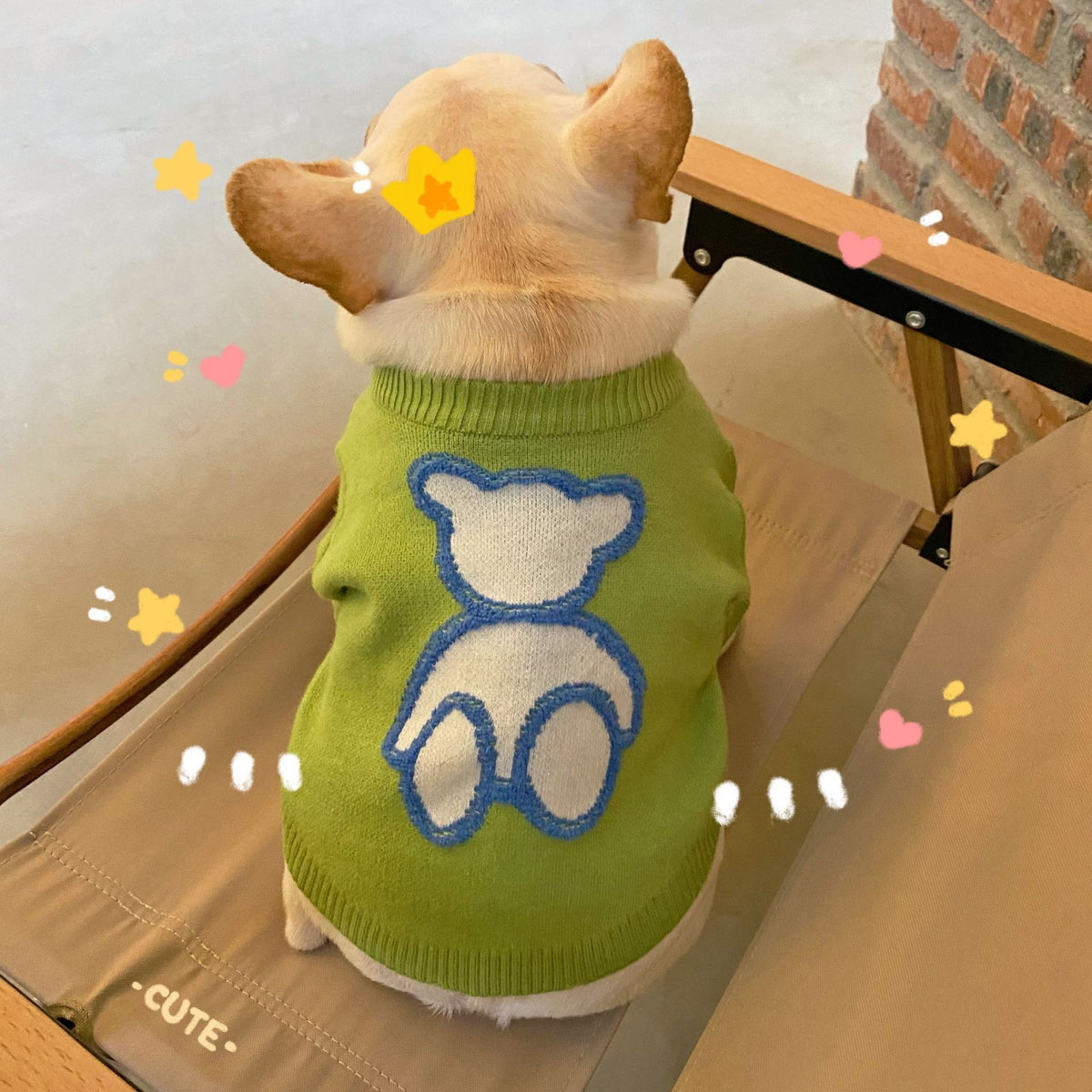 Wool Sweater, for dogs and cats.