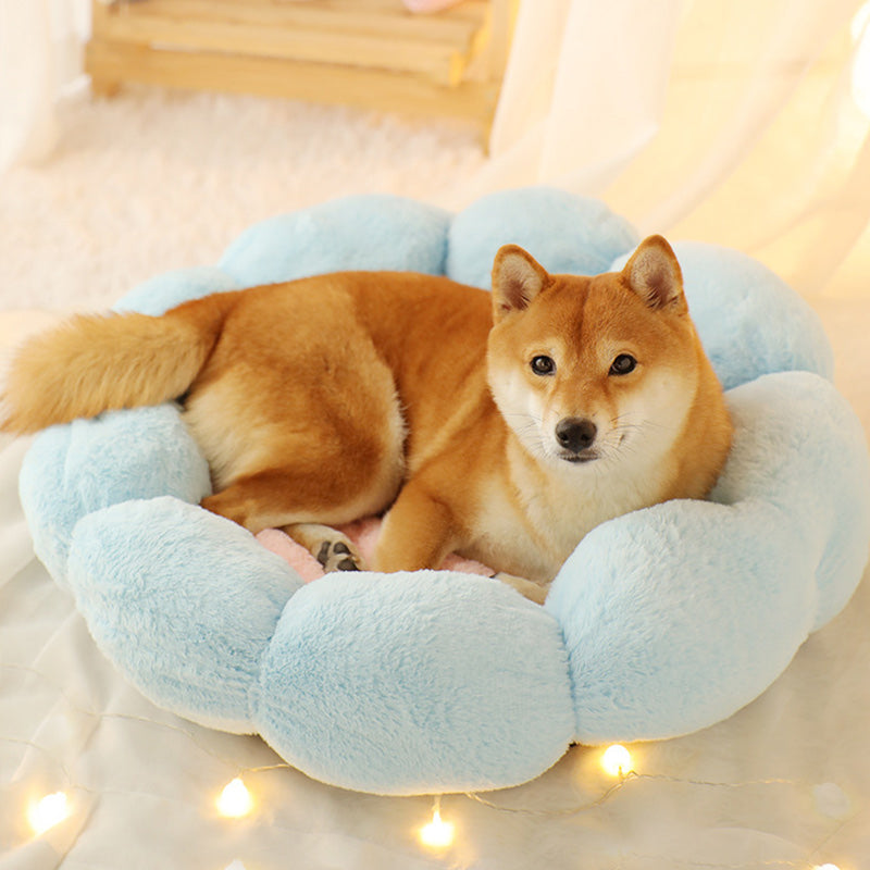 Round Thick Plush Cat Bed with Raised Rim for Winter, for cats.