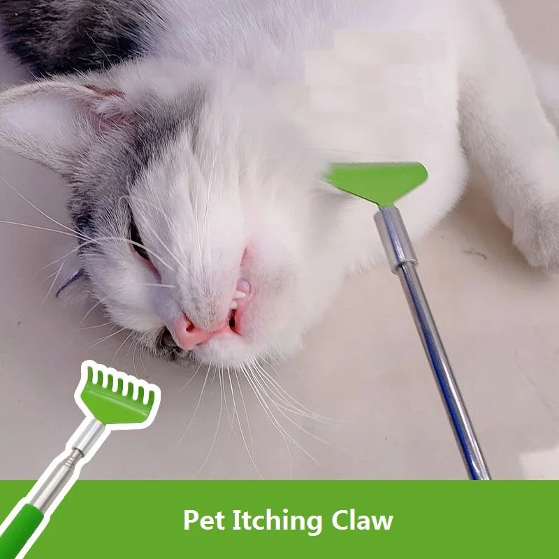 Retractable Massage and Scratching Toy, for cats.