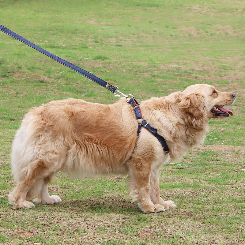 Denim Chest and Back Harness Leash Set, for dogs.