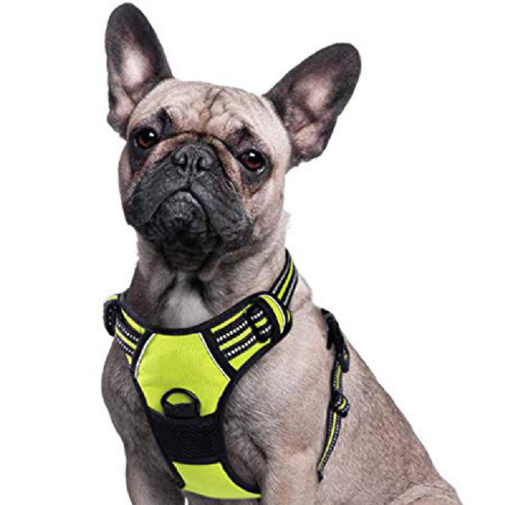 Polyester Chest Strap Harness, for dogs.