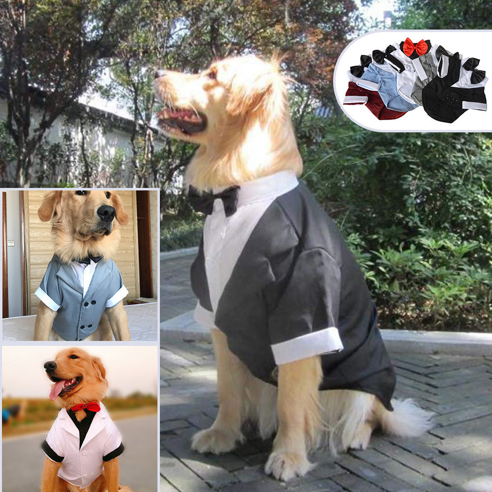 British-Style Dress Suit with Bow Tie, for dogs.