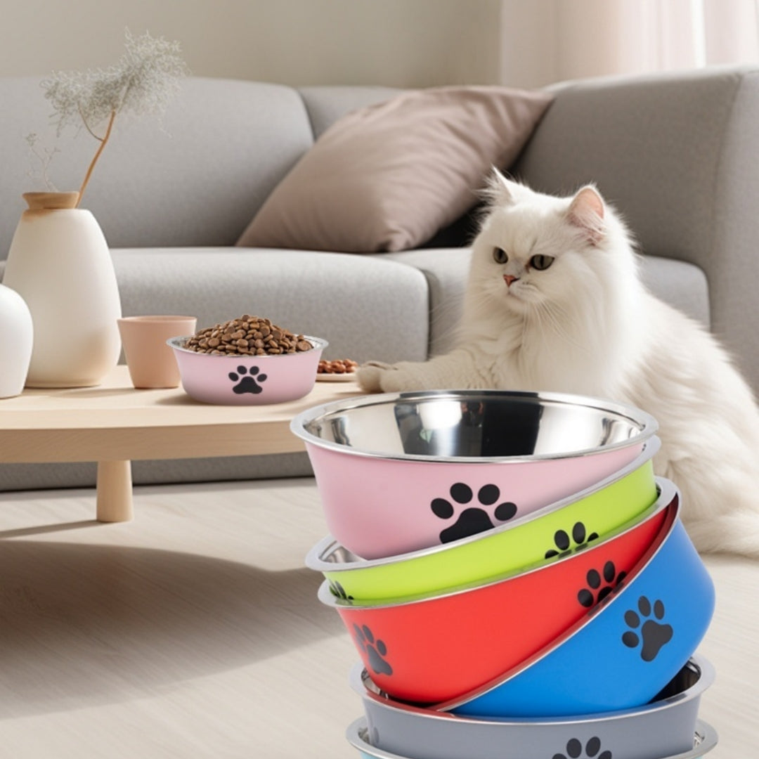 Stainless Steel High-value Anti-spill Pet Double-layer Plastic Bowl