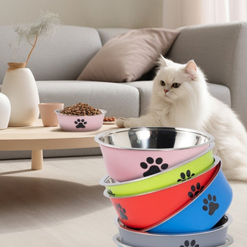 Anti-Spill Double Pet Bowl – Stainless Steel Food & Water Feeder