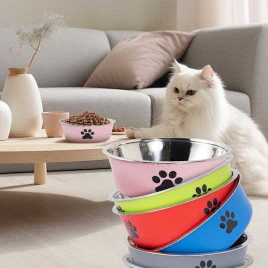 Anti-Spill Double Pet Bowl – Stainless Steel Food & Water Feeder