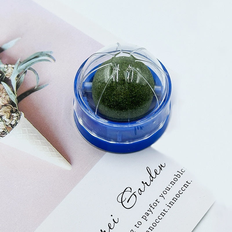 Kindopet™ Cat Teasing Ball & Molar Rod – Interactive Self-Play Toy for Stress Relief