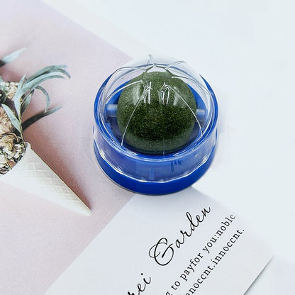 Kindopet™ Cat Teasing Ball & Molar Rod – Interactive Self-Play Toy for Stress Relief