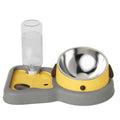 2-in-1 Tilted Feeding Bowl and Water Bottle Set