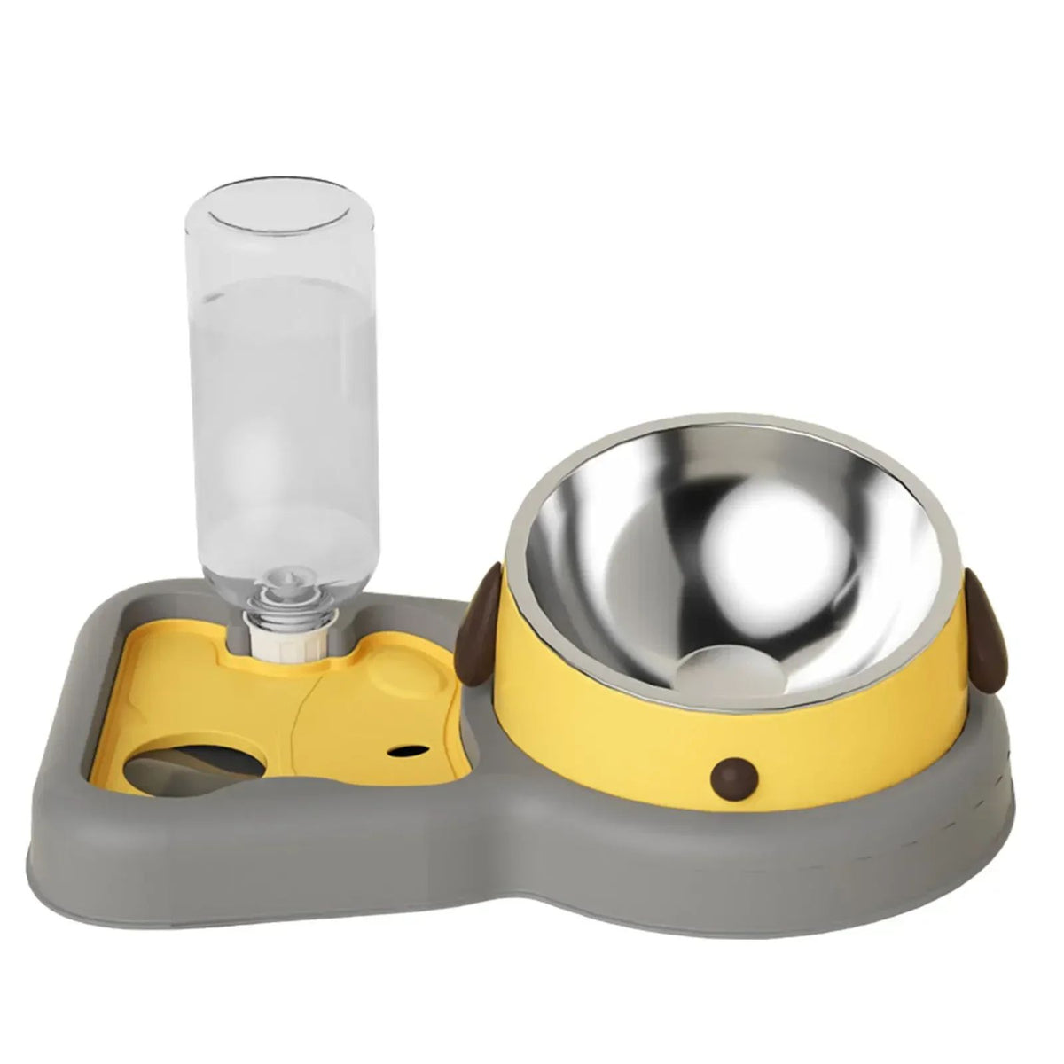 2-in-1 Tilted Feeding Bowl and Water Bottle Set