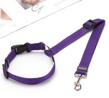 Adjustable Car Seat Belt Leash, for dogs and cats.