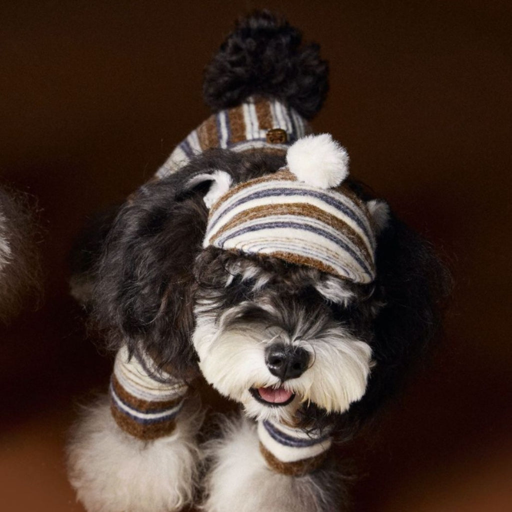 Striped Knit Hat with Pom Trim, for dogs.